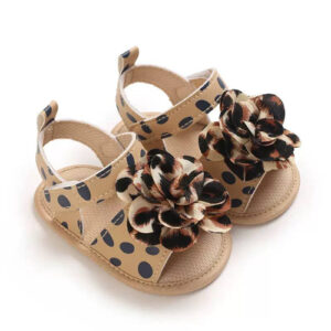 Sandal daisy